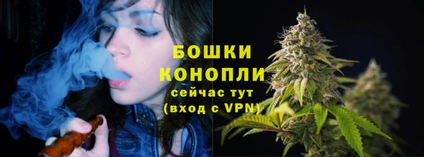 дживик Майский