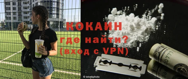 дживик Майский