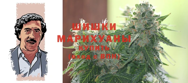 дживик Майский