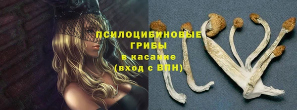 дживик Майский
