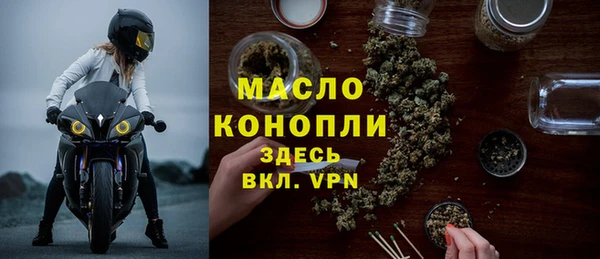 дживик Майский