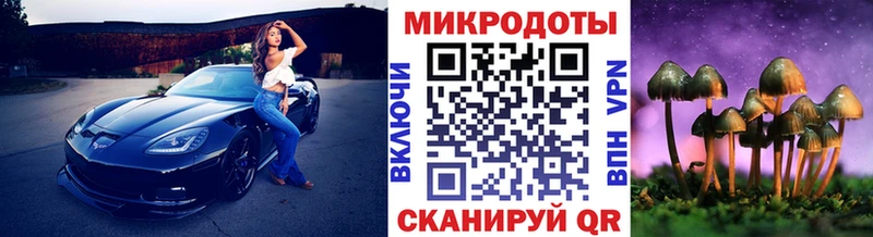 Галлюциногенные грибы Psilocybe  Купить закладки  Обоянь 
